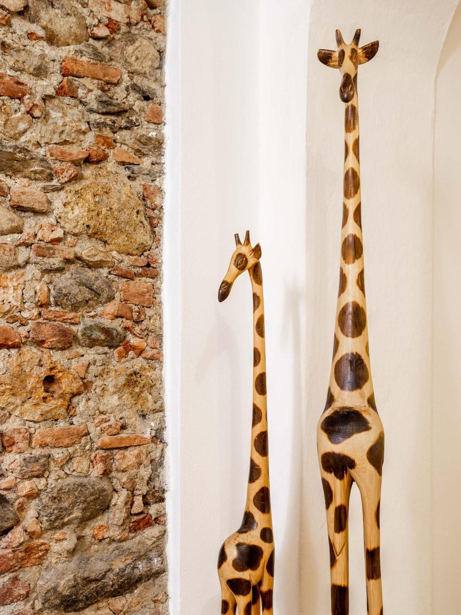 Apartment Le Giraffe - Centro